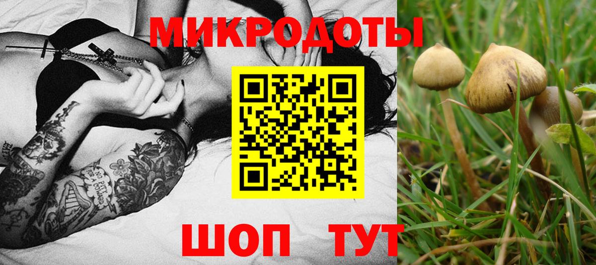 Галлюциногенные грибы ЛСД  цена наркотик  Малгобек  Вход с VPN 