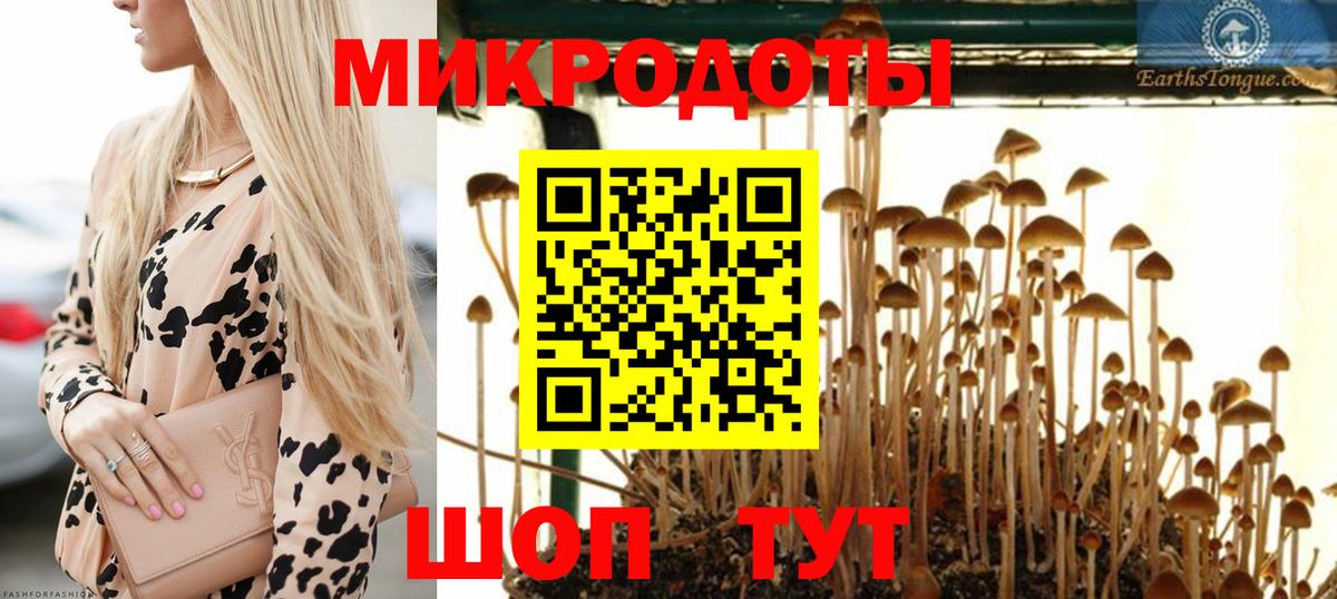 Псилоцибиновые грибы мицелий Малгобек